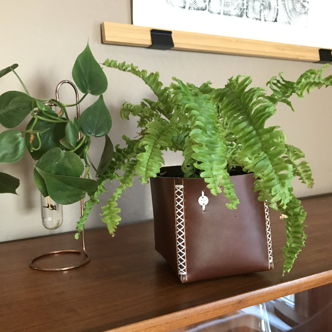 Leather Cache Pot, S.B. Foot—Premium Teak